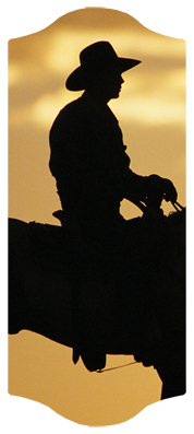 DARAY C 360 BZ Cowboy Bronze